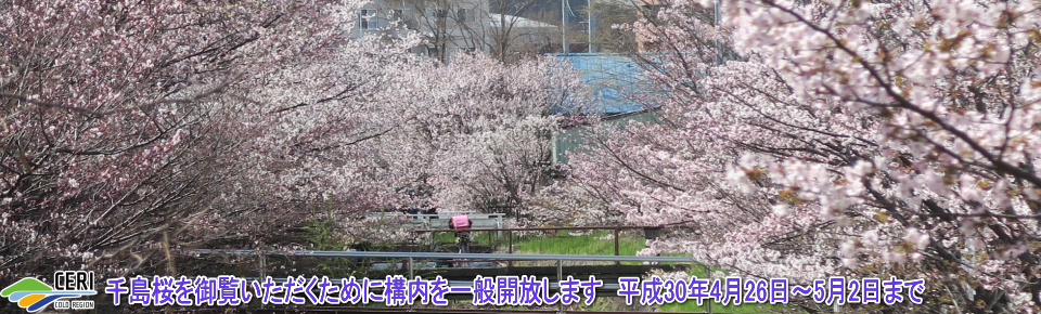 トップ画像