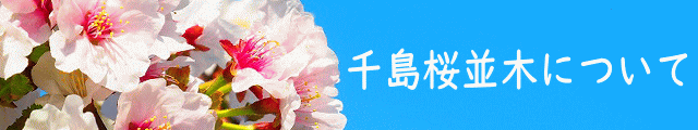 桜公開イメージ画像