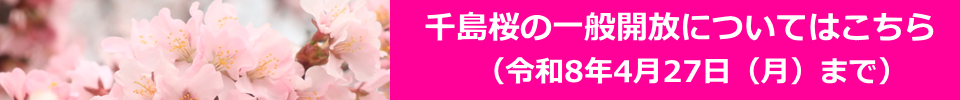 千島桜一般開放