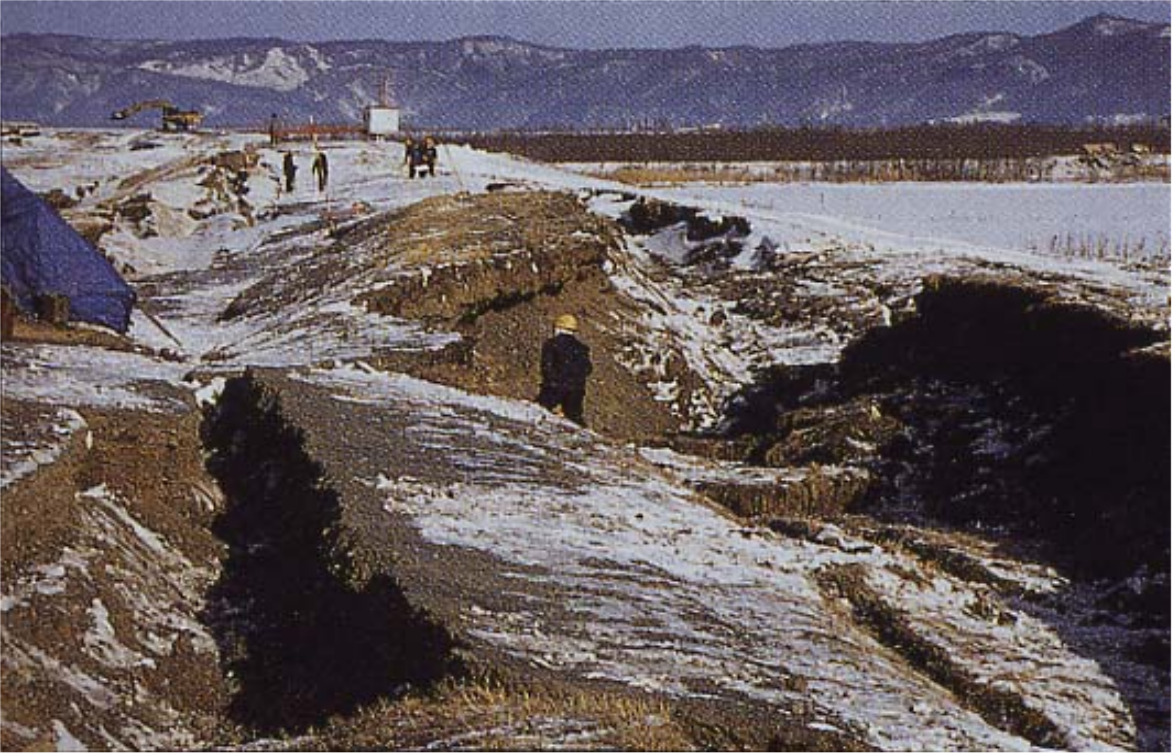 泥炭地盤上の盛土の地震被害